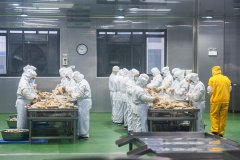 新华视点丨关于预制菜必需厘清的几个问题